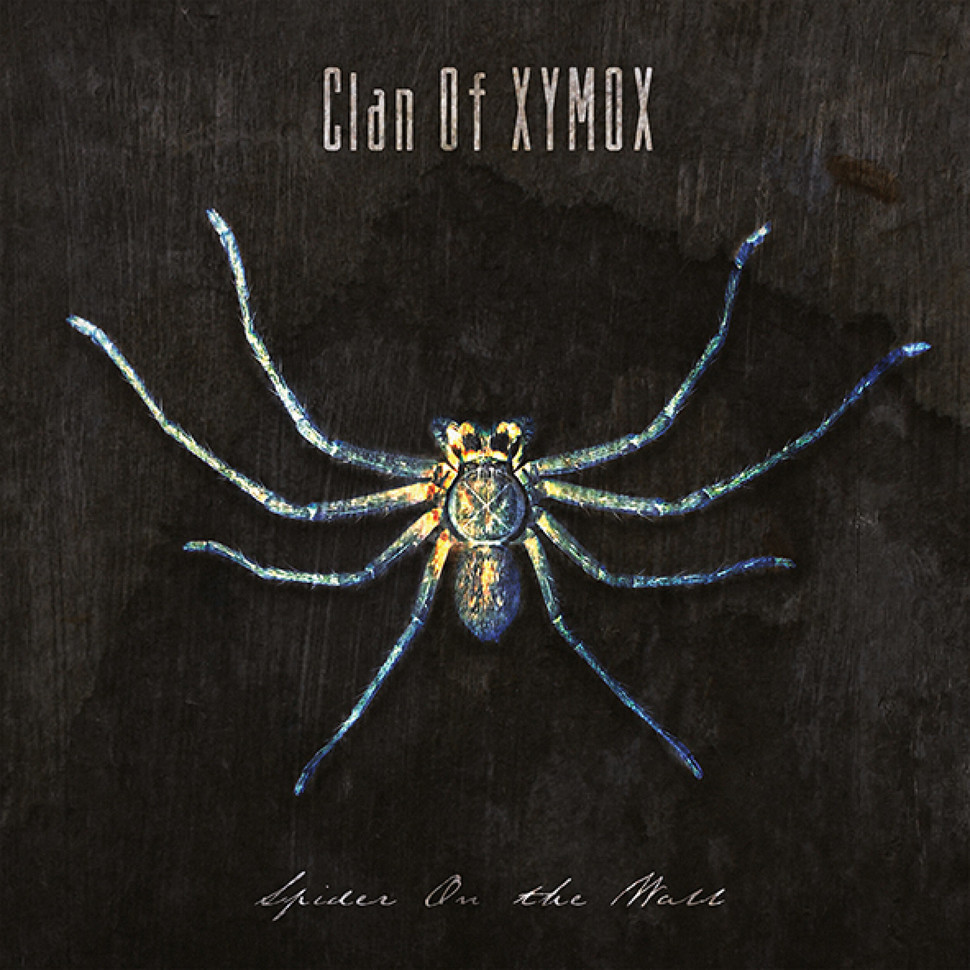 Cover: Spider on the Wall